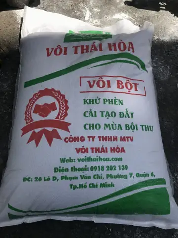 Hướng dẫn chi tiết cách làm trong nước hồ cá ngoài trời hiệu quả