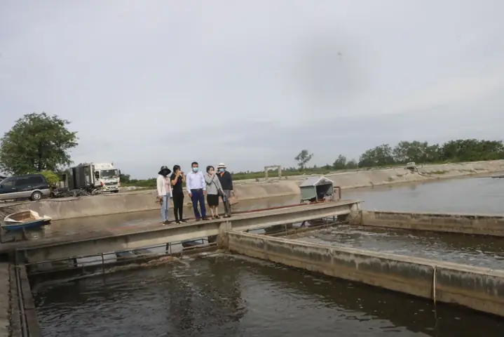 Hướng dẫn chi tiết cách nuôi cá lăng trong bể tại nhà thành công