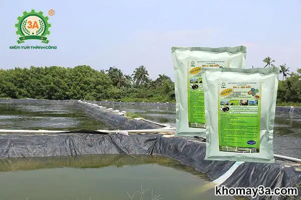 Hướng dẫn chi tiết cách nuôi cá tai tượng mau lớn và khỏe mạnh