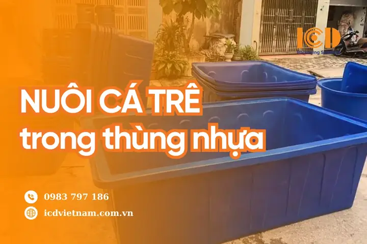Hướng Dẫn Toàn Diện: Cách Nuôi Cá Trê Trong Thùng Nhựa Thành Công