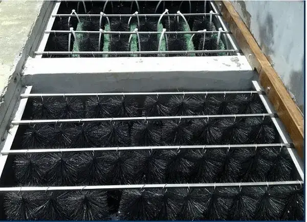 Hướng Dẫn Chi Tiết Cách Sắp Xếp Vật Liệu Lọc Bể Cá Chuẩn Kỹ Thuật