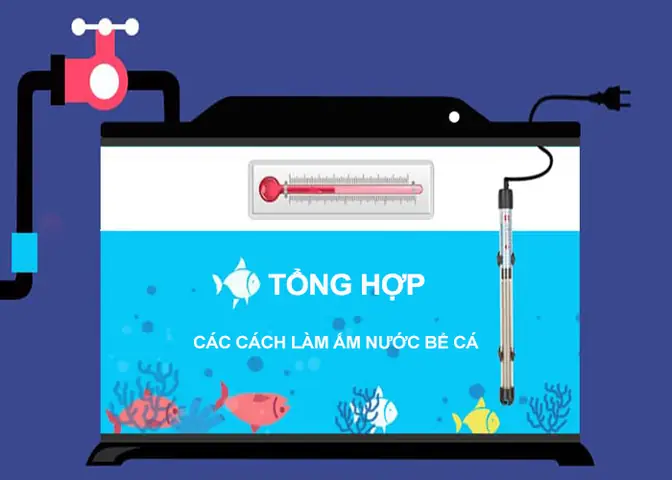Hướng Dẫn Chi Tiết Cách Tăng Nhiệt Độ Bể Cá Đúng Chuẩn