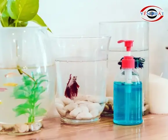 Hướng dẫn chi tiết cách tẩy kính bể cá bị ố hiệu quả