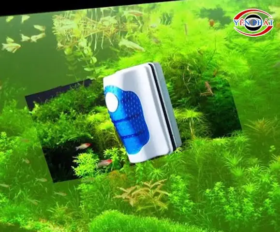 Hướng dẫn chi tiết cách tẩy kính bể cá bị ố hiệu quả