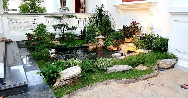 Cách Thiết Kế Bể Cá Koi: Hướng Dẫn Toàn Diện Cho Người Mới Cách Thiết Kế Bể Cá Koi: Hướng Dẫn Toàn Diện Cho Người Mới