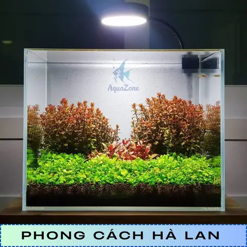 cách trang trí hồ cá đẹp đơn giản