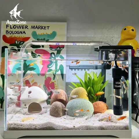 cách trang trí hồ cá đẹp đơn giản
