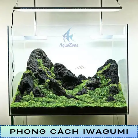 cách trang trí hồ cá đẹp đơn giản