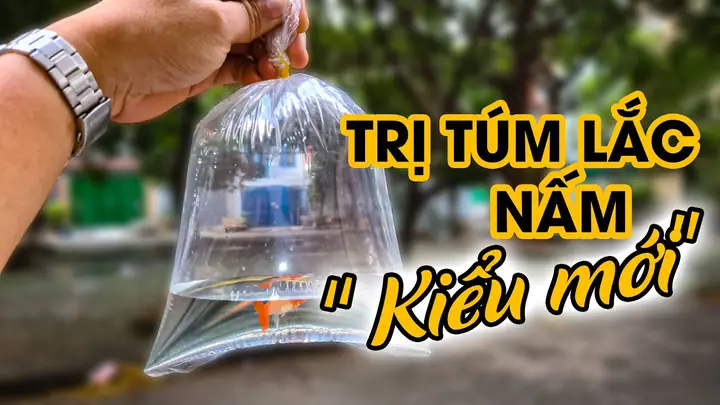 Thuốc và chế phẩm đặc trị bệnh lắc