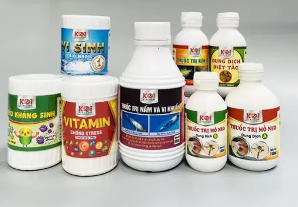 Hướng Dẫn Chi Tiết Cách Trị Cá Koi Bị Ngứa Mình Hiệu Quả