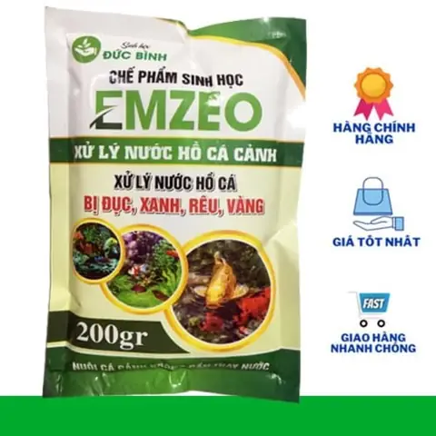 Cách Xử Lý Hồ Cá Bị Tảo Xanh Hiệu Quả Và An Toàn Nhất