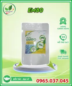 Cách Xử Lý Nước Ao Cá Bị Đục Hiệu Quả và Bền Vững Cách Xử Lý Nước Ao Cá Bị Đục Hiệu Quả và Bền Vững