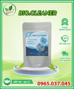 Cách Xử Lý Nước Ao Cá Bị Đục Hiệu Quả và Bền Vững Cách Xử Lý Nước Ao Cá Bị Đục Hiệu Quả và Bền Vững