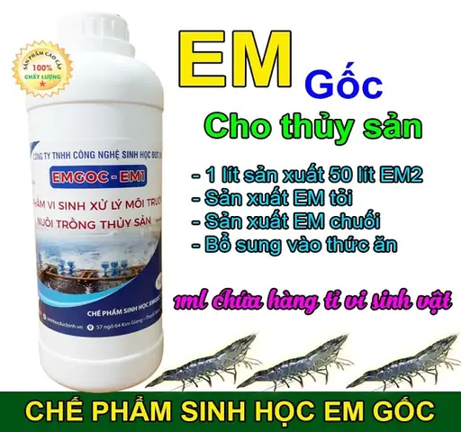 Hướng dẫn chi tiết cách xử lý nước ao cá bị ô nhiễm hiệu quả