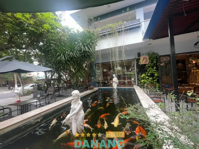 Cafe cá Đà Nẵng: Địa chỉ và trải nghiệm thư giãn độc đáo