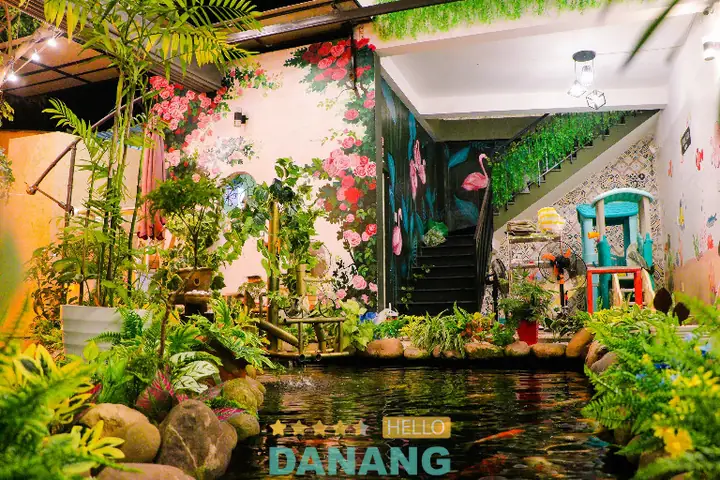 Cafe cá Đà Nẵng: Địa chỉ và trải nghiệm thư giãn độc đáo
