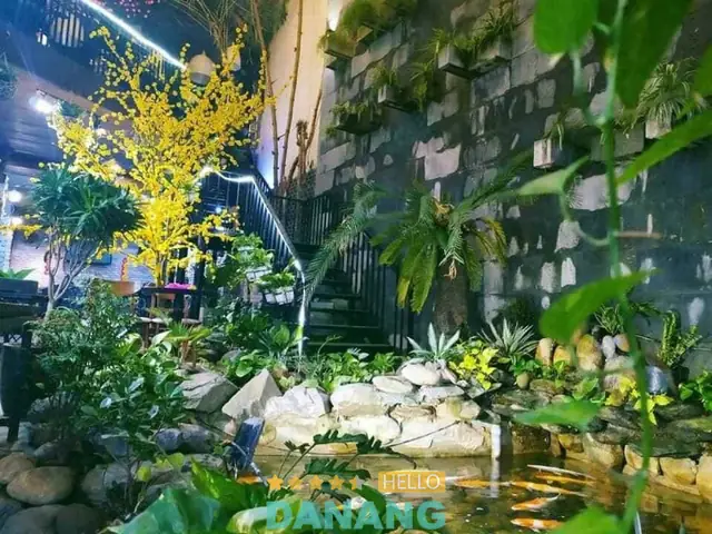 Cafe cá Đà Nẵng: Địa chỉ và trải nghiệm thư giãn độc đáo
