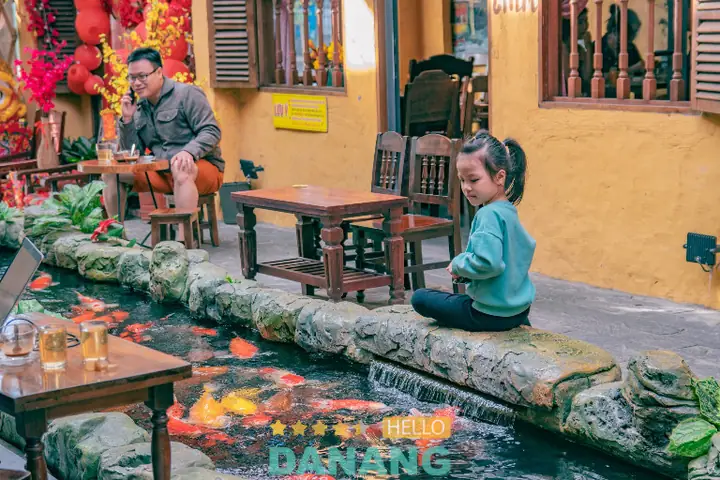 Cafe cá Đà Nẵng: Địa chỉ và trải nghiệm thư giãn độc đáo