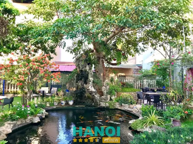 10 Quán Cafe Cá Hà Nội Độc Đáo: Trải Nghiệm Thư Giãn Tuyệt Vời