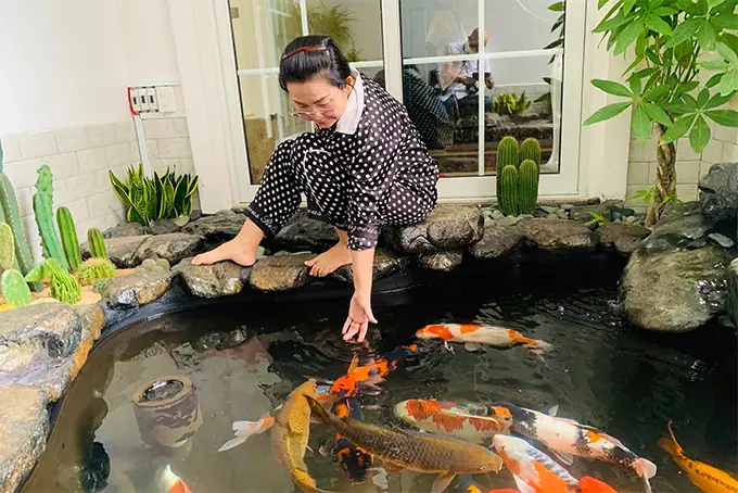 Khám phá cafe cá koi Cam Lâm: Những không gian thư giãn đáng đến
