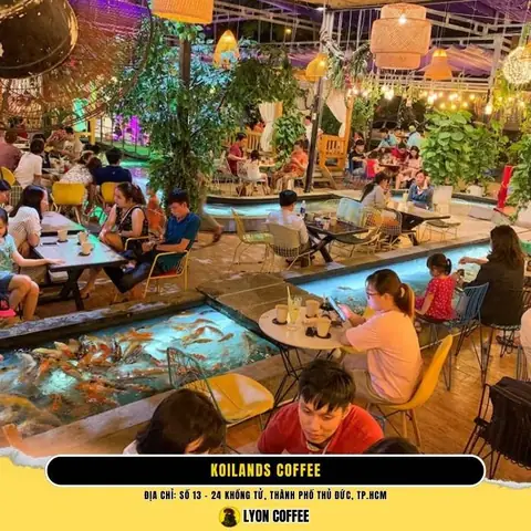 Review Cafe Cá Koi Củ Chi: Những Trải Nghiệm Thư Giãn Độc Đáo