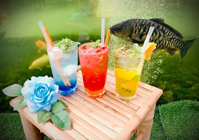 cafe cá koi nha trang