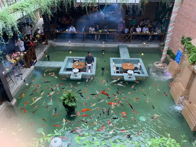 Khám Phá Những Quán Cafe Cá Koi Ở Thủ Đức Với Không Gian Độc Đáo