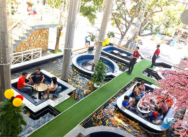 Khám phá Koi Skylight Coffee: Trải nghiệm Cafe Cá Koi Quận 6 Độc đáo