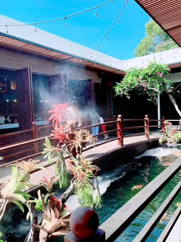 Cafe Cá Koi Vũng Tàu: Khám Phá Những Quán Đáng Ghé Nhất