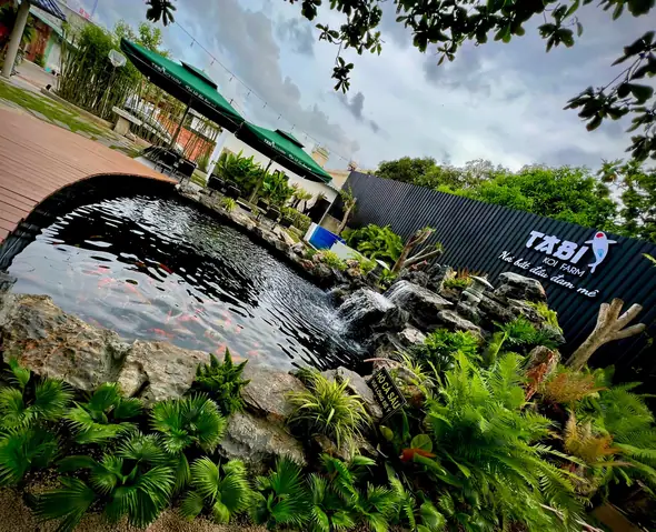 Cafe Cá Koi Vũng Tàu: Khám Phá Những Quán Đáng Ghé Nhất