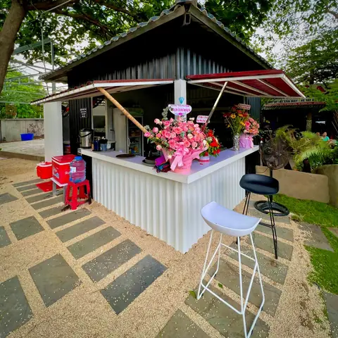 Cafe Cá Koi Vũng Tàu: Khám Phá Những Quán Đáng Ghé Nhất