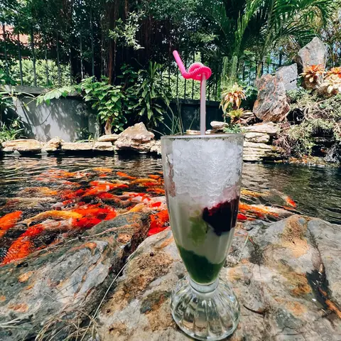 Cafe Cá Koi Vũng Tàu: Khám Phá Những Quán Đáng Ghé Nhất