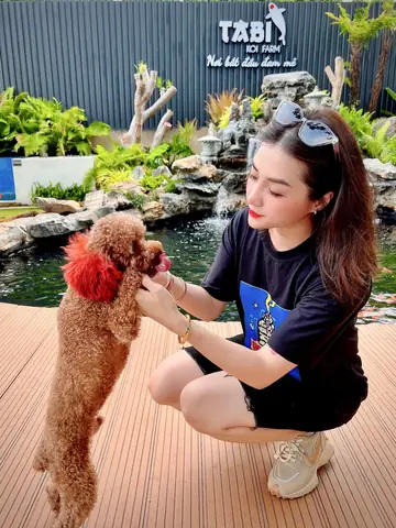 Cafe Cá Koi Vũng Tàu: Khám Phá Những Quán Đáng Ghé Nhất