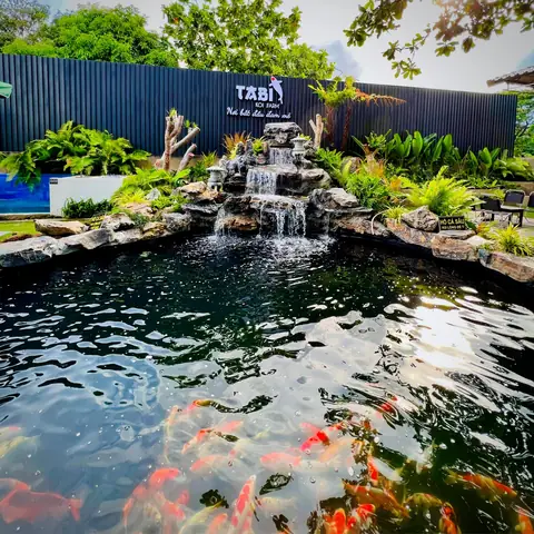 Cafe Cá Koi Vũng Tàu: Khám Phá Những Quán Đáng Ghé Nhất
