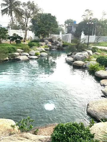 Hướng Dẫn Toàn Diện Cải Tạo Hồ Cá Koi Hiệu Quả và Bền Vững