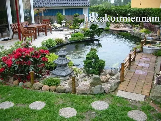 Hướng Dẫn Toàn Diện Cải Tạo Hồ Cá Koi Hiệu Quả và Bền Vững