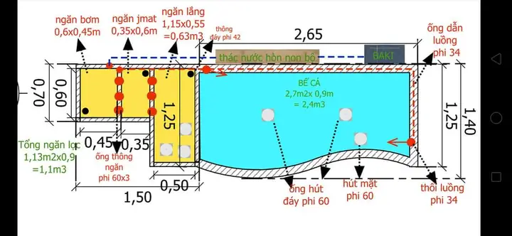 Hướng Dẫn Toàn Diện Cải Tạo Hồ Cá Koi Hiệu Quả và Bền Vững