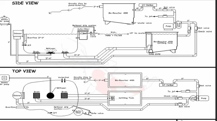 Hướng Dẫn Toàn Diện Cải Tạo Hồ Cá Koi Hiệu Quả và Bền Vững