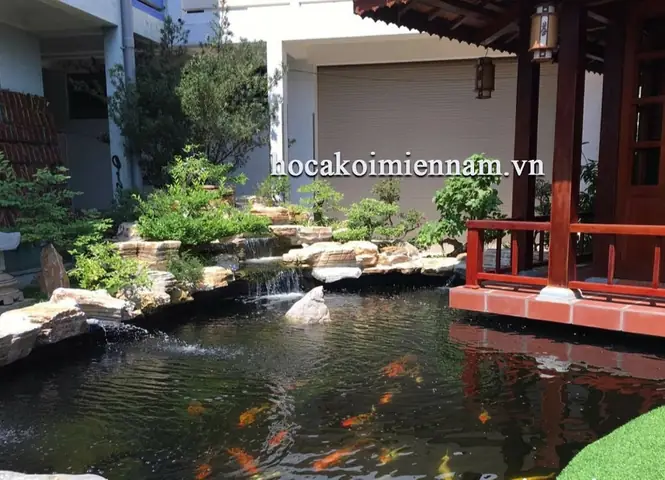Hướng Dẫn Toàn Diện Cải Tạo Hồ Cá Koi Hiệu Quả và Bền Vững