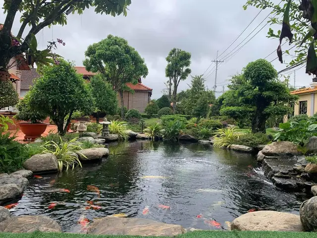 Hướng Dẫn Toàn Diện Cải Tạo Hồ Cá Koi Hiệu Quả và Bền Vững