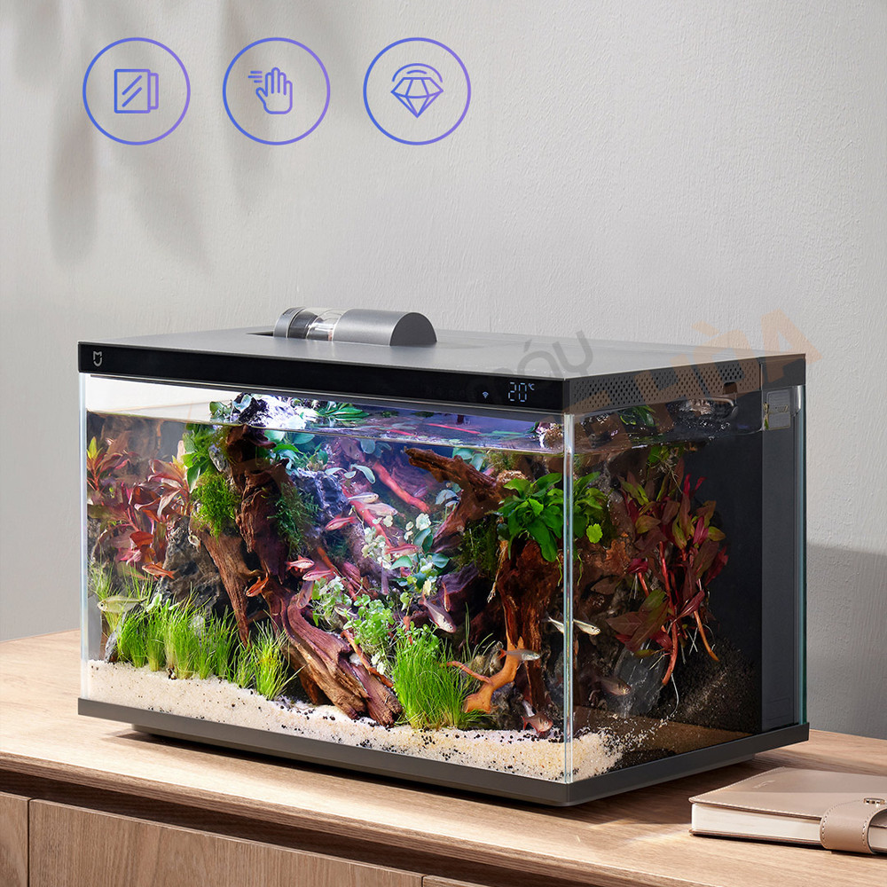 Cảm biến nhiệt độ thông minh trên bể cá cảnh Xiaomi