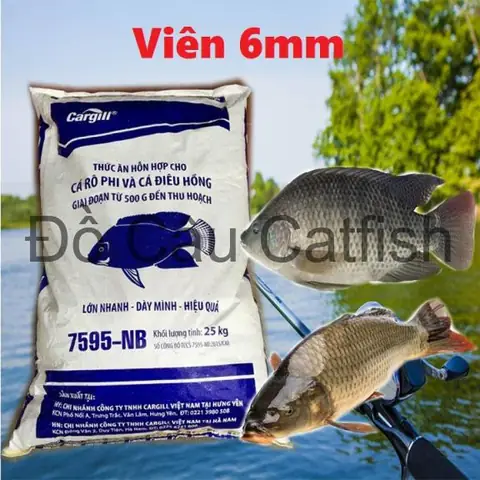 Cám Cá Chép Cargill: Đánh Giá Chi Tiết Và Hướng Dẫn Sử Dụng