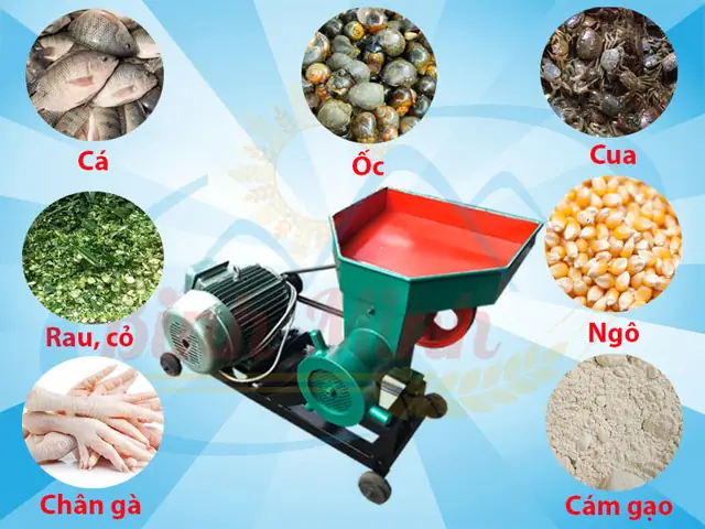Cám Cá Công Nghiệp: Hướng Dẫn Toàn Diện Từ Thành Phần Đến Lựa Chọn