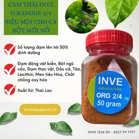 Cám Cho Cá Bột: Hướng Dẫn Lựa Chọn Và Sử Dụng Hiệu Quả Nhất