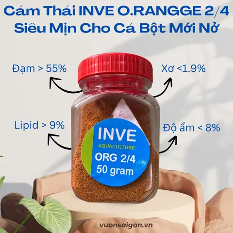 Cám Cho Cá Bột: Hướng Dẫn Lựa Chọn Và Sử Dụng Hiệu Quả Nhất