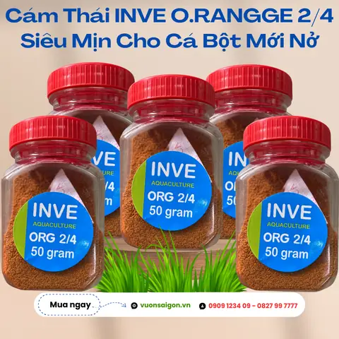 Cám Cho Cá Bột: Hướng Dẫn Lựa Chọn Và Sử Dụng Hiệu Quả Nhất