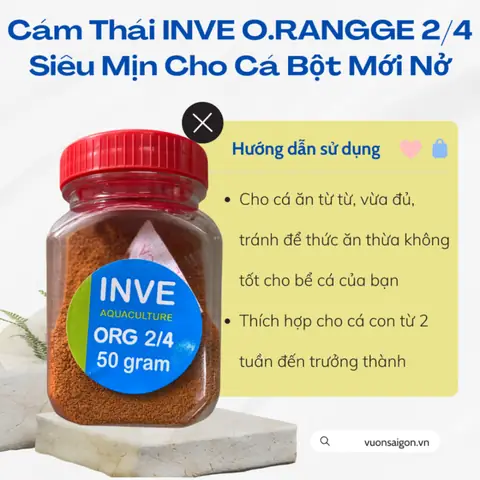 Cám Cho Cá Bột: Hướng Dẫn Lựa Chọn Và Sử Dụng Hiệu Quả Nhất