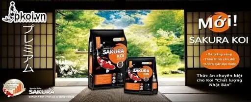 Cám Sakura Cho Cá Koi: Công Thức Tăng Trưởng Và Tăng Màu Toàn Diện