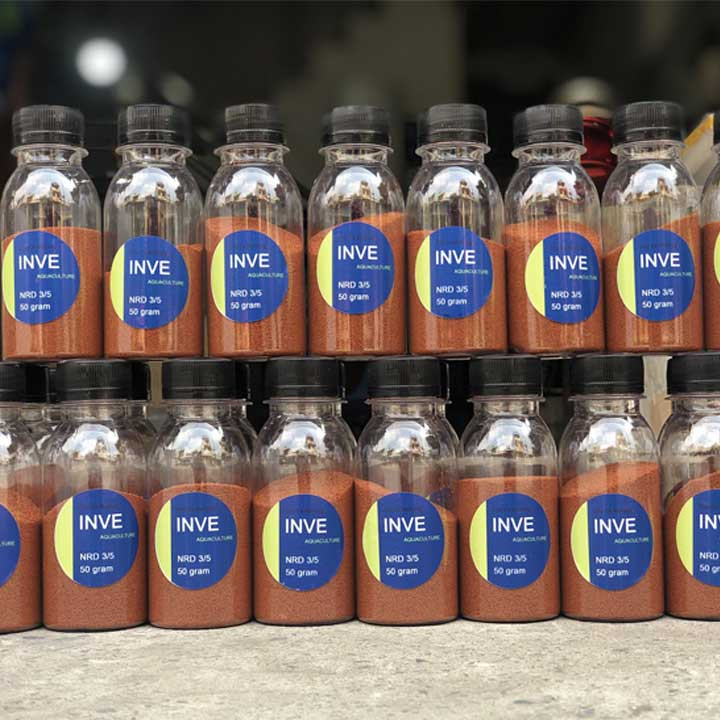 Cám Thái Inve cho cá cảnh