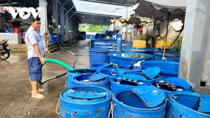 cảng cá mỹ tho